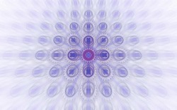 2014 04 30 Webs and Things 54-white.jpg